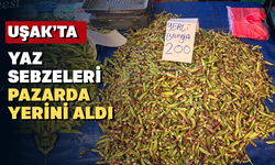 Uşak’ın Çarşamba pazarında fiyatlar nasıl?