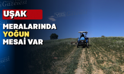 Uşak’ta 915 kilogram korunga tohumu toprakla buluştu
