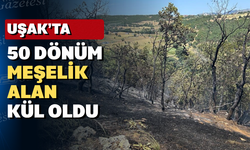 Uşak’ta korkutan yangın 3 saatin sonunda söndürüldü