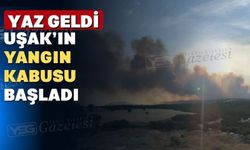 Uşak’ın kâbusu bu yıl Eşme ilçesinde hortladı