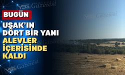 Uşak’ın Eşme ilçesinde orman yangını