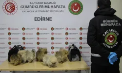 Gümrüklerde yılın ilk yarısında 35,5 milyar TL'lik kaçak eşya yakalandı