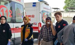 Kendini serinletmeyen bahçıvanı dövdü