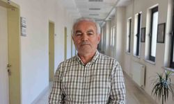 Küresel ısınma, sıcaklık ve rutubet, kene popülasyonunu artırdı