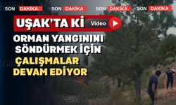 Uşak'taki orman yangınına havadan müdahale de başladı