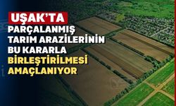 Uşak’ta Arazi toplulaştırma ve sınır belirleme kararları Resmi Gazete'de