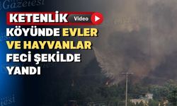 Uşak’ın Ketenlik köyünde yangının acı bilançosu belli oldu