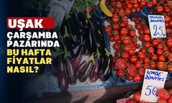 Uşak Çarşamba Pazarında fiyatlar düştü