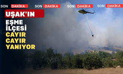 Eşme İlçesi Alevler İçerisinde Kaldı