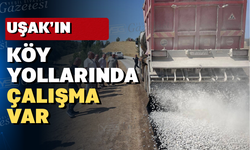 Uşak'ın Eşme ilçesinde köy yolları yapılıyor