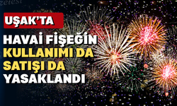 Uşak'ta havai fişek satan ya da kullanan yandı