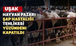 Acil kodlu yazıyla “Uşak Hayvan Pazarı” süresiz kapatıldı