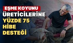 Uşak’ta 64 üreticinin yüzü Eşme koyunuyla güldü