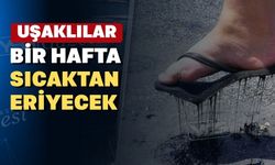 Uşak Valisi Dr. Naci Aktaş’tan Aşırı Sıcaklık Uyarısı