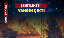 Dumlupınar Şehitliği Civarında Yangın