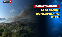 Usak'ın Banaz İlçesindeki Yangın Dumlupınar' a ulaştı.