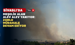 Hanoğlu Köyü yakınlarında çıkan yangına havadan ve karadan müdahale sürüyor