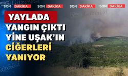 Uşak’ın yakınlarında çok büyük bir yangın başladı