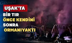 Uşak’ta önce tırın dorsesi sonra orman yandı