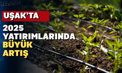 Uşak tarımına 141,5 Milyon TL hibe desteği