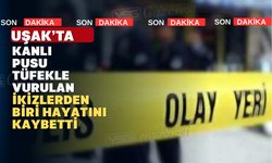Uşak'ta İkiz Kardeşlere Pusu Kuruldu: 1 Ölü 1 Yaralı