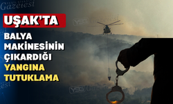 Uşak'ta çıkan orman yangınında 2 kişi tutuklandı