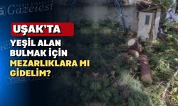 Uşak’ta 42 yıllık ağacın kesilmesi üzdü