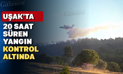 Uşak'ta saman balyalama makinesinin çıkardığı yangın kontrol altına alındı