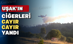 Uşak’ta orman yangınlarıyla ilgili tutuklama yok