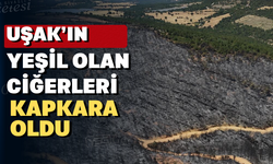 Uşak’ta yanan ormanlık alan havadan görüntülendi