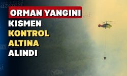 Uşak’ta 30 hektar orman kül oldu