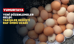 Yumurtaya da Güncelleme Geldi: ‘Son Tüketim Tarihi’ Gitti ‘Tavsiye Edilen Tarih’ Geldi