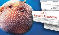 Balon balığı yakalayanlara  para  desteği sağlanacak