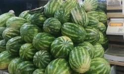 Karpuzda üretici-market farkı yüzde 613,8... Üreticide 1,18, markette 8,42 TL