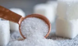 Şeker üretiminde resmi kota dönemi