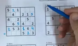 Unutkanlığa karşı bulmaca yerine sudoku çözün