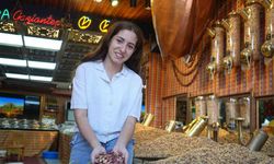 Antep fıstığının fiyatı cep yakıyor : kilosu 500 TL