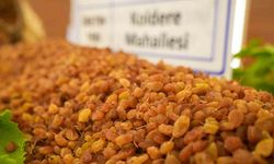 Borsaya gelen yılın ilk kuru üzümü 3 bin 500 TL’den alındı