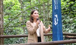 Çocuklardan yüksek beklenti kaygıya yol açıyor