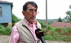 Denize tekrar açılacak olan kaptan kadın eşi tarafından öldürüldü