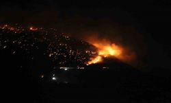 Denizli’de orman yangınına karadan müdahale sürüyor