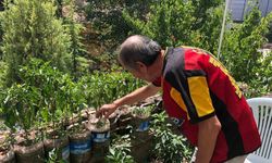 Esnaf iş yerinin balkonunu bahçeye çevirdi