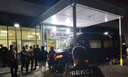 Rapçi Çakal rastgele ateşin hedefi oldu