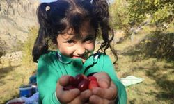 Şerbeti, çayı oluyor! Kalbi koruyup, enfeksiyonu düşürüyor