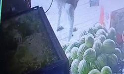 Sipariş verdiği marulu beğenmeyen müşteri, market çalışanını darp etti