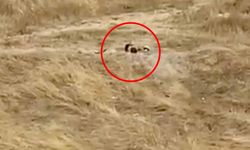 Uygunsuz hareketler sergileyen gençler gözaltına alındı