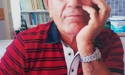 Yürüyüşü Yapan Doktor Otomobil Çarpması Sonucu Hayatını Kaybetti