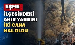 Uşak’ın Eşme İlçesinde çıkan yangın korkuttu