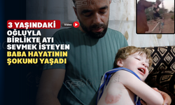 Vahşi at küçük çocuğu havaya fırlattı: o anlar kamerada