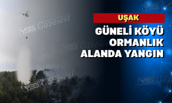 Uşak Güneli Köyü Ormanlık Alanda Yangın